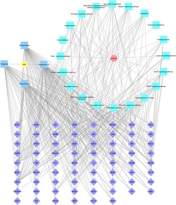Potential pharmacological mechanisms of four active compounds of Macleaya cordata extract against enteritis based on network pharmacology and molecular docking technology